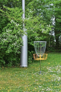 TV Südkamen, Erfahrungen mit dem Korb